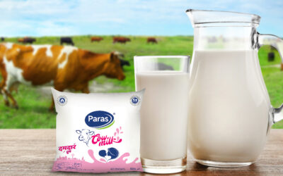 The Health Benefits Of Cow’s Dairy Products